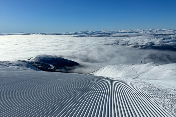 Private Ski Coaching 90
