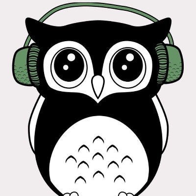 Bubo Solutions 