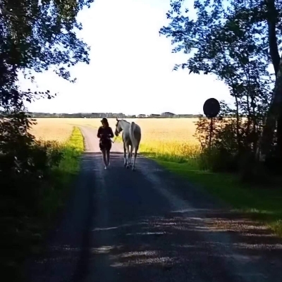 Veronica Mikkola Sturve 