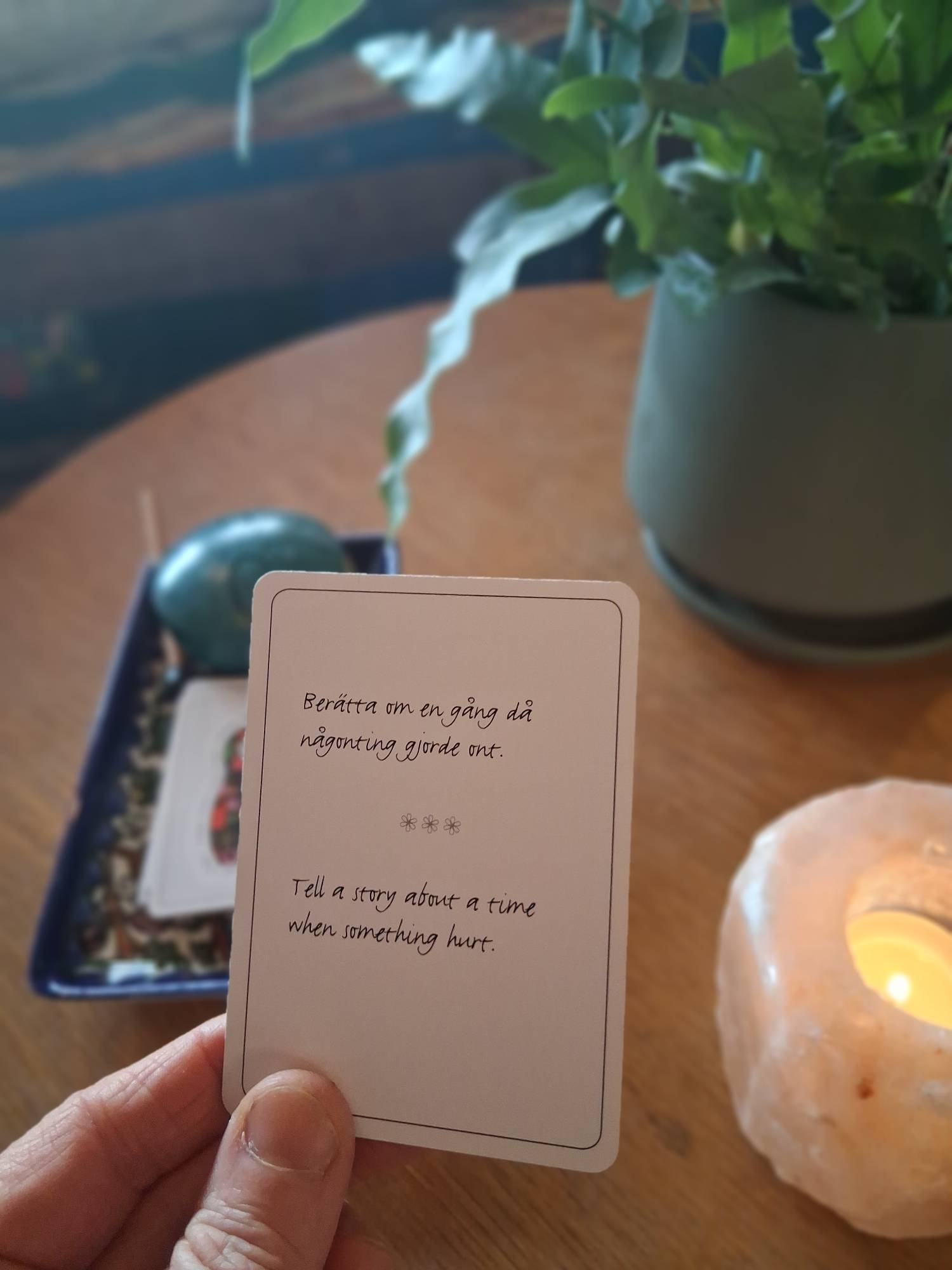 Medlemskap 100:-/år