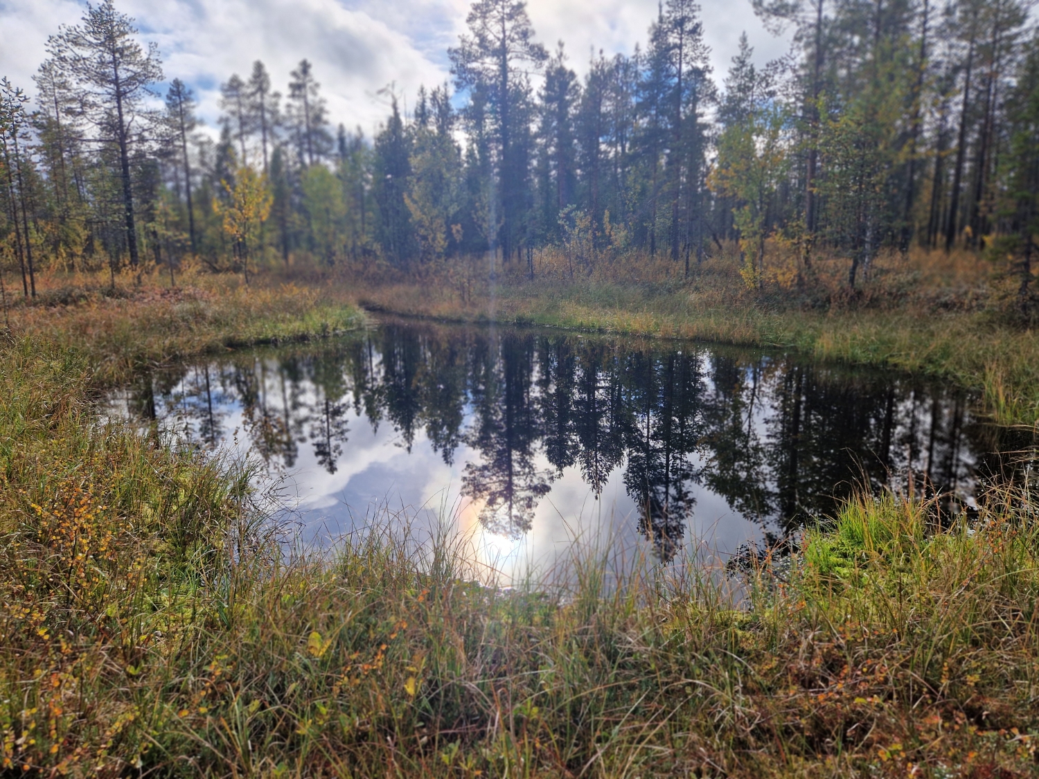 Behandling Kallkällan