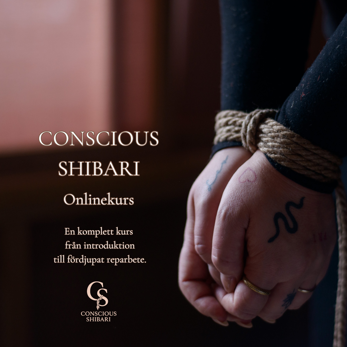 Online kurs i shibari