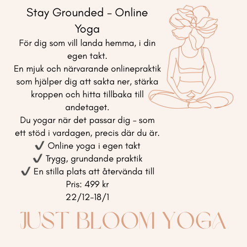 Stay Grounded for Christmas