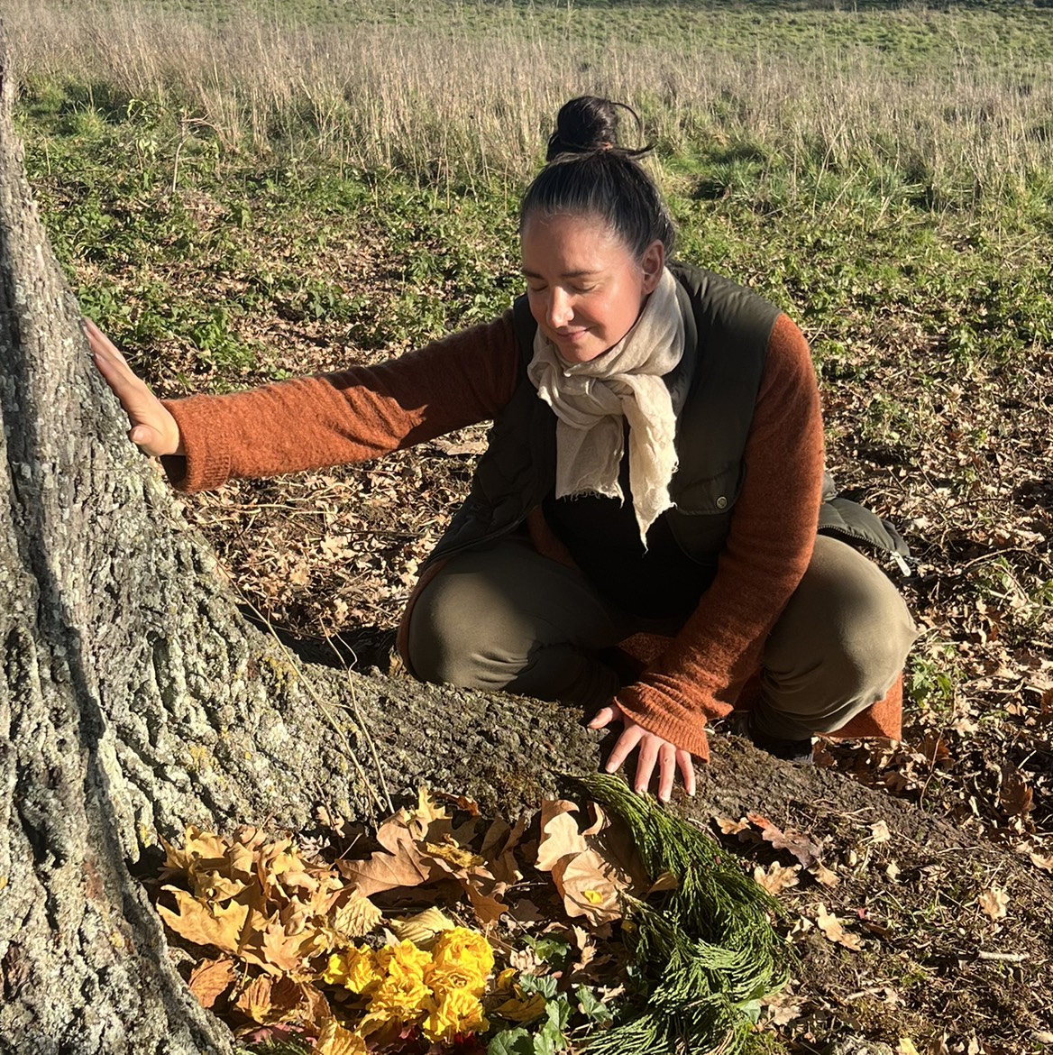 The journey home - A four week healing series