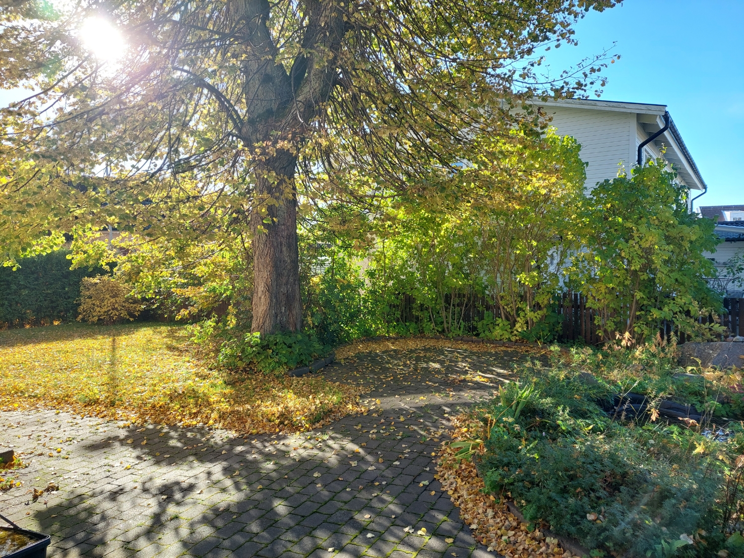 Presentkort 500 kr  Chakraflödesmassage