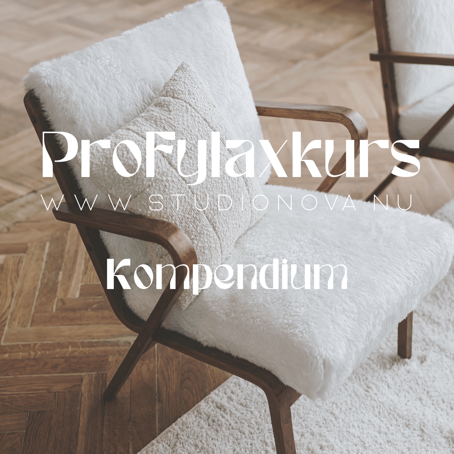 Profylaxkurs Kompendium – för en trygg och lugn förlossning