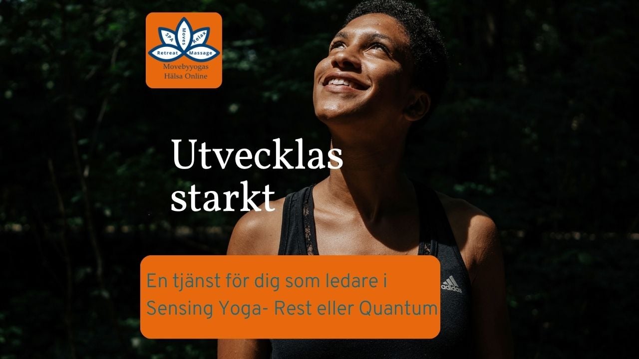 Din stil, din röst - att utvecklas som ledare i Sensing