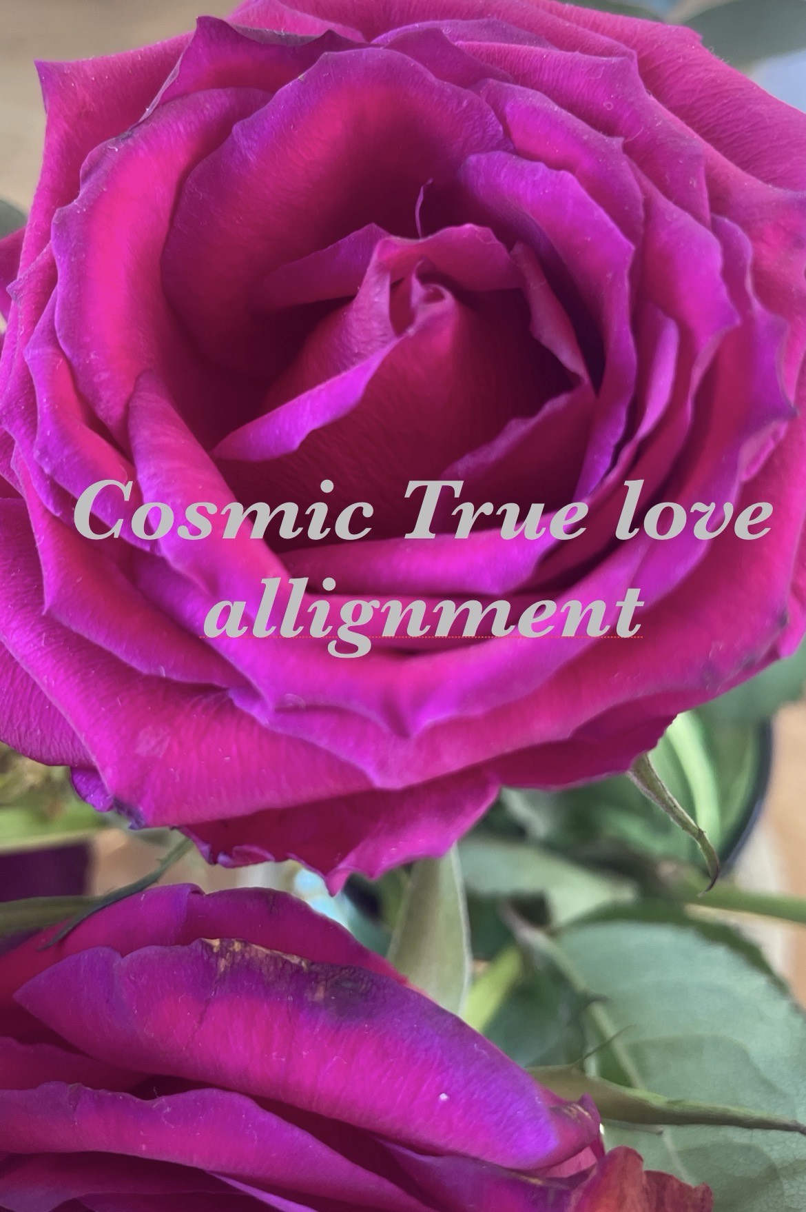 Cosmic True love frequency allignment