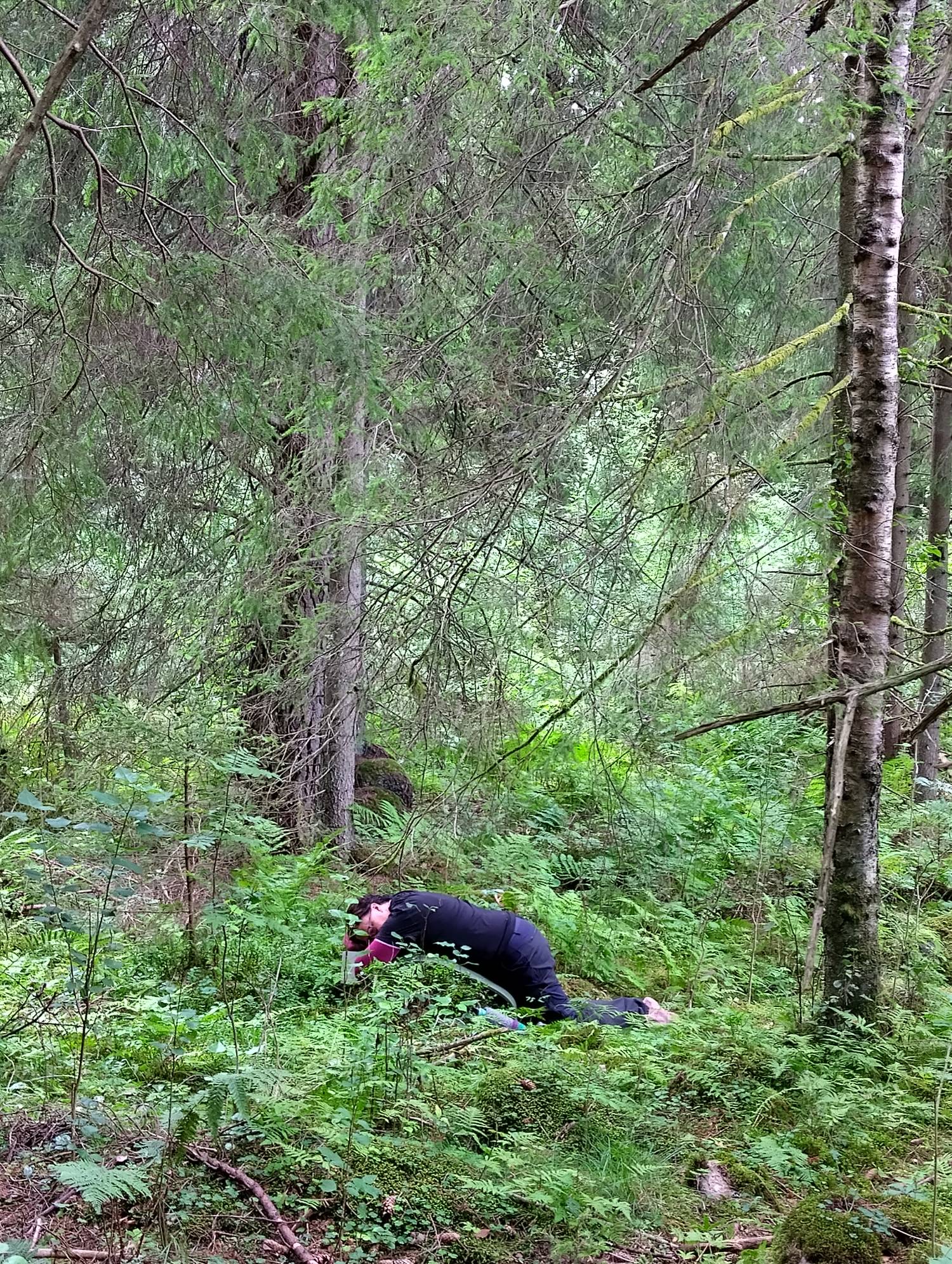 Skogsbad Presentkort