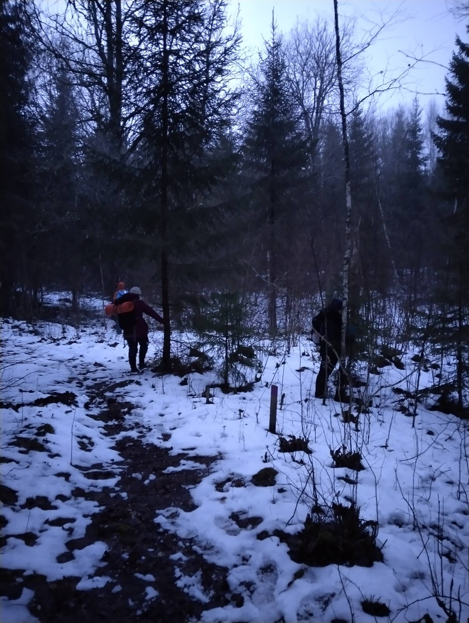 Skogsbad Presentkort