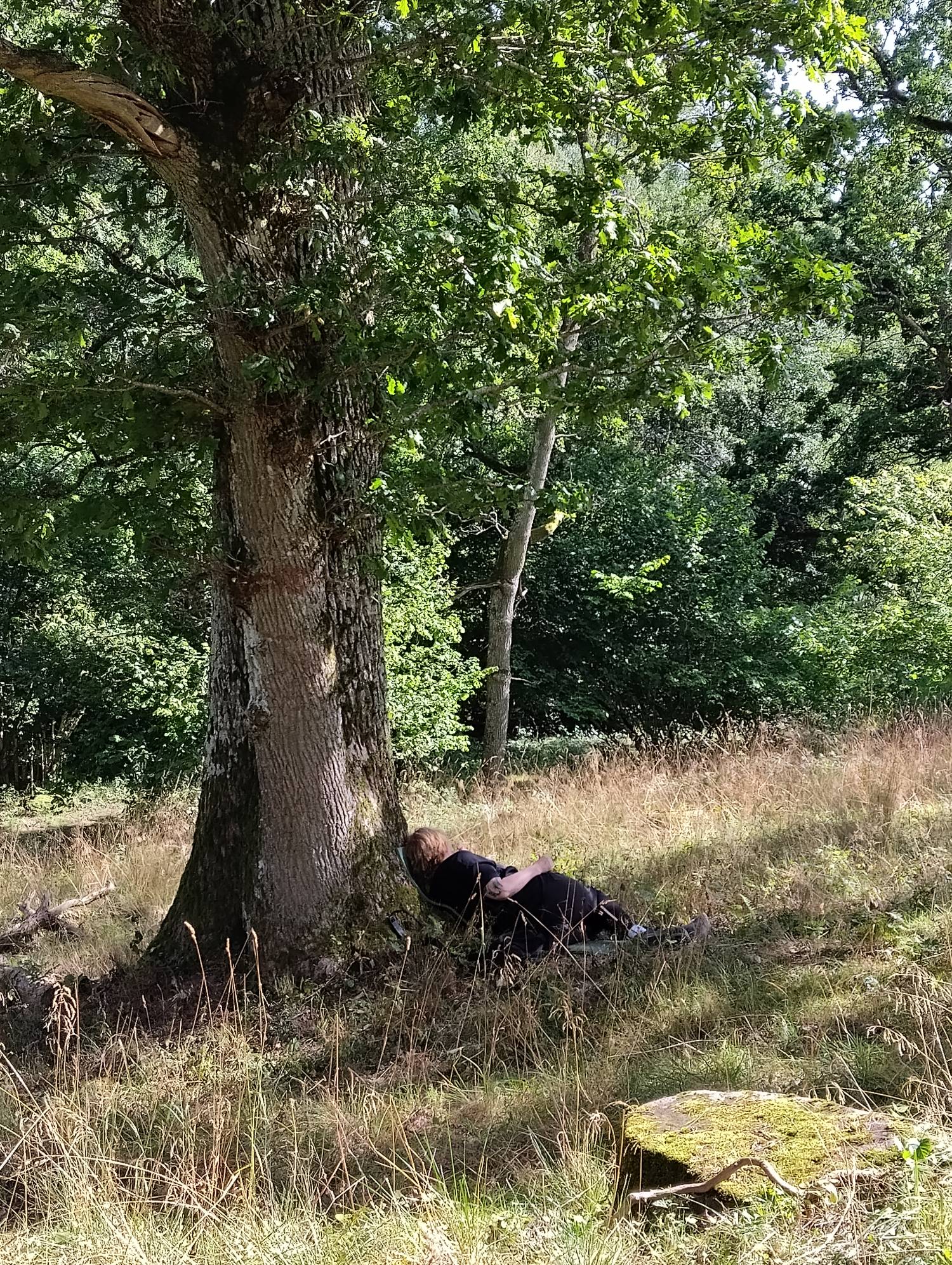 Skogsbad Presentkort