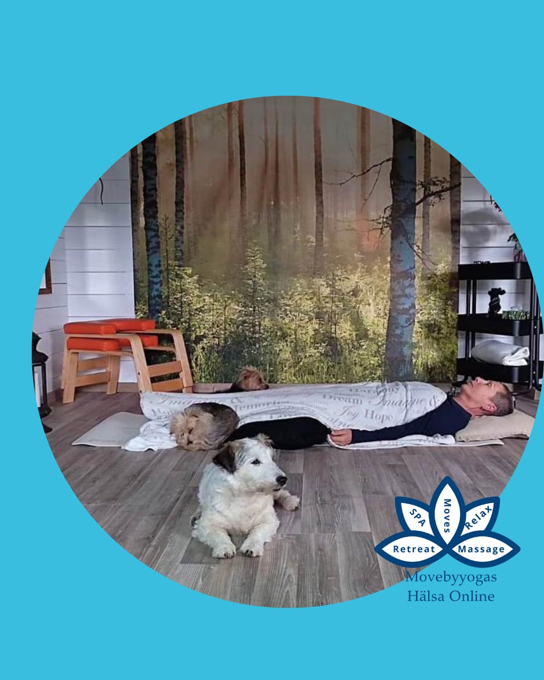 Sov gott - en videokurs online om sömn