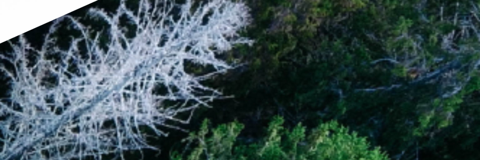 BDO România - Firmă de audit cover photo