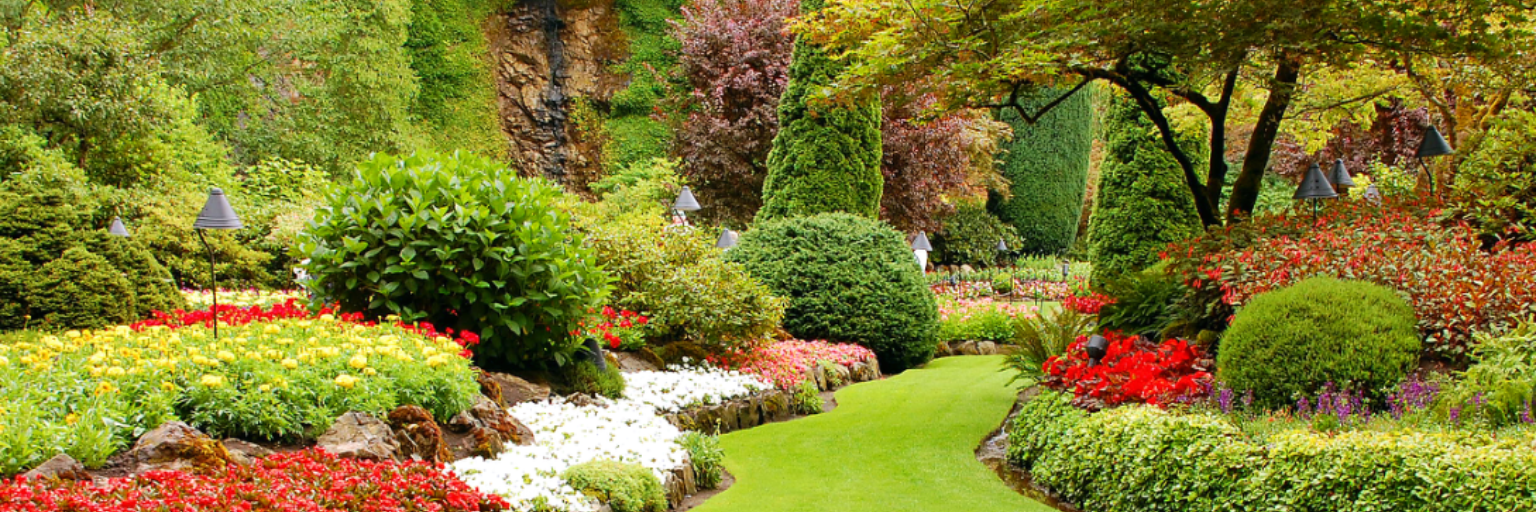 Modern Garden Design - Interior Design Studio cover photo