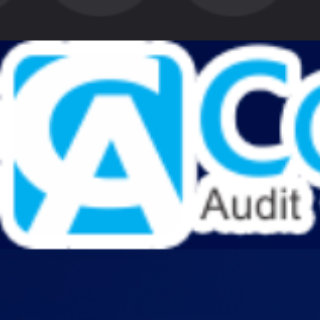Cons Audit LG - Audit Firm profile photo