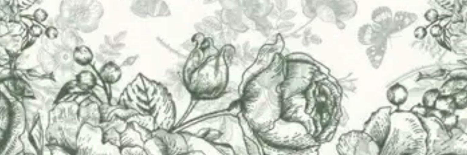 Clinica Altezza - Centru de Estetică cover photo