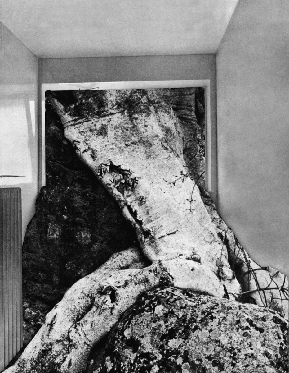 ESPRIT DES FORETS Exposition 