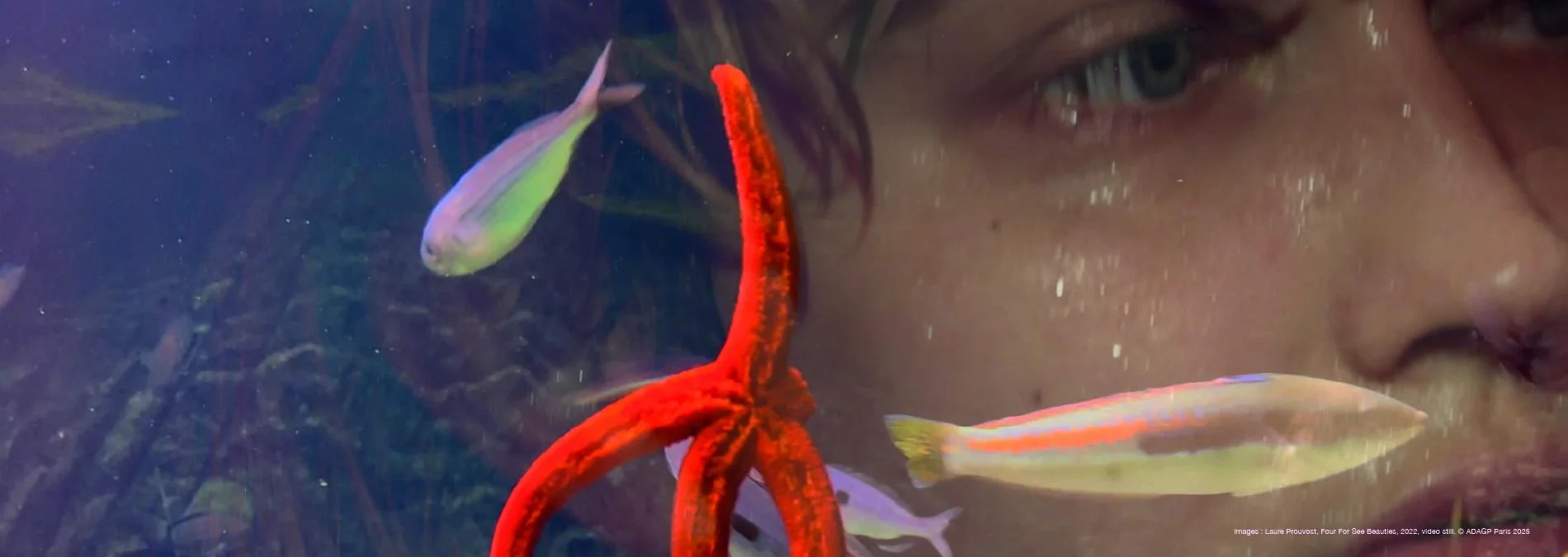 Laure Prouvost - Mère We Sea