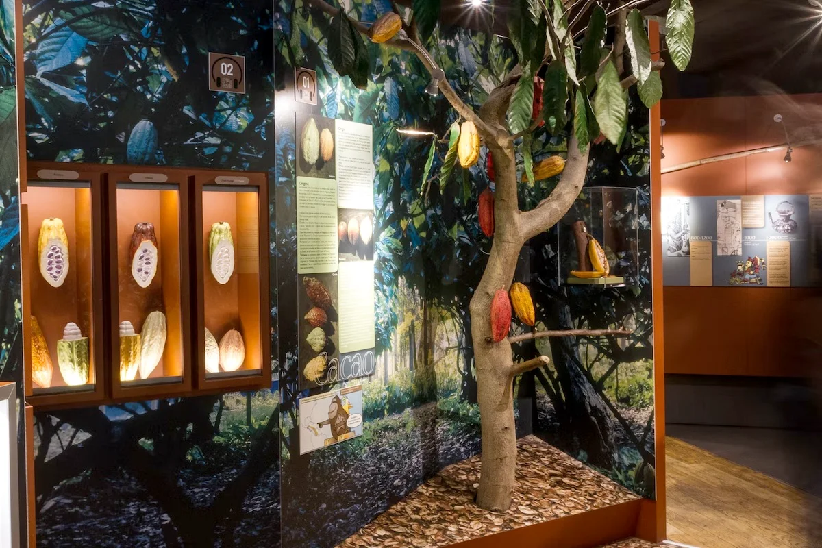 Choco-Story : Musée du chocolat à Paris-2