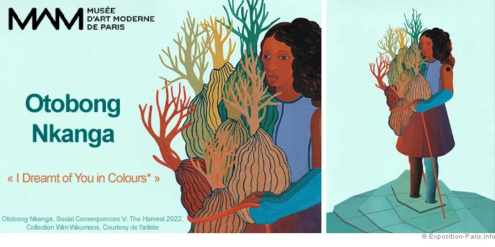 Otobong Nkanga Musée d'Art Moderne de Paris