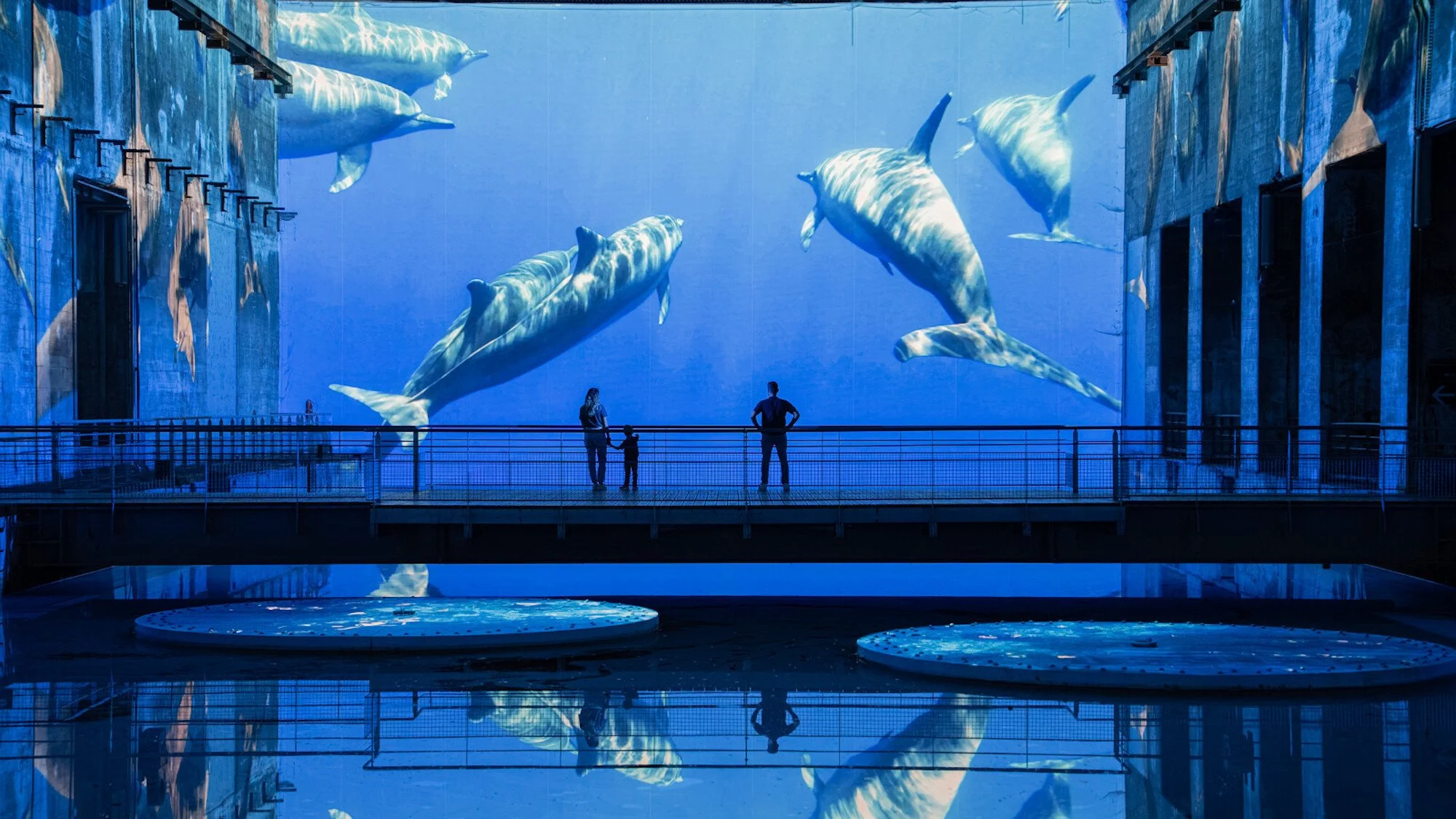 Océan, immersion dans le monde sous-marin
