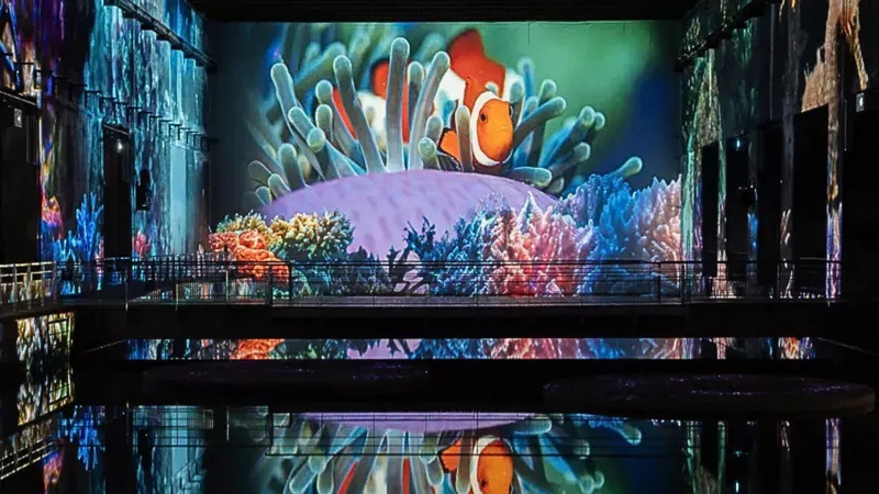 Océan, immersion dans le monde sous-marin - Image 2