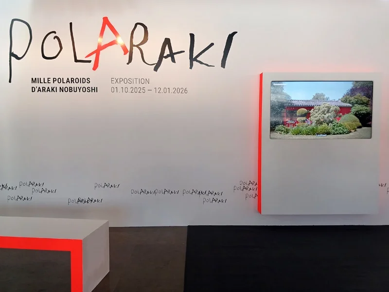 Exposition POLARAKI — Mille polaroids d’Araki Nobuyoshi