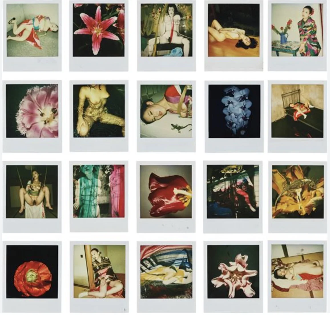 POLARAKI — A Thousand Polaroids by Nobuyoshi Araki - Image 4