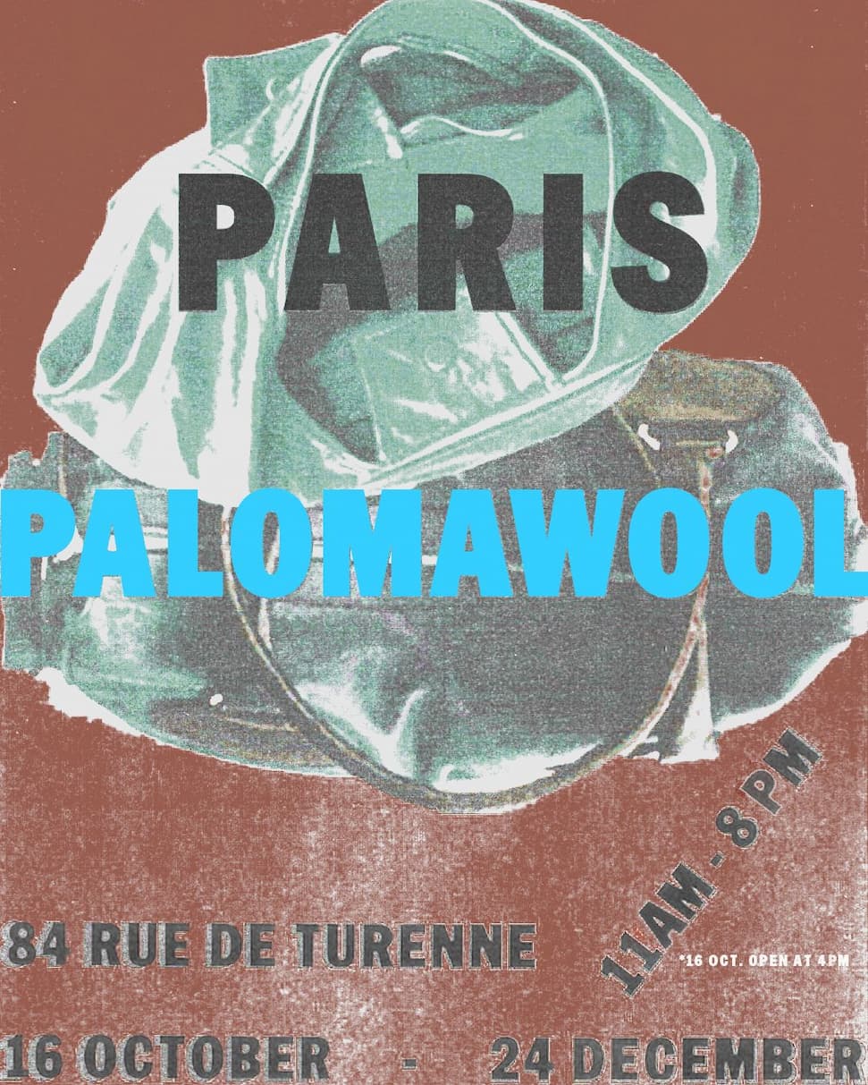 Pop‑Up Paloma Wool - Image 2