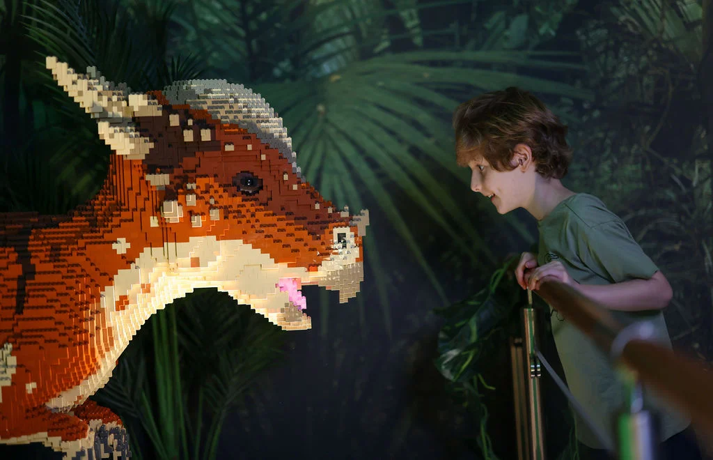 Jurassic World by Brickman — immersive LEGO® exhibition - Image 3