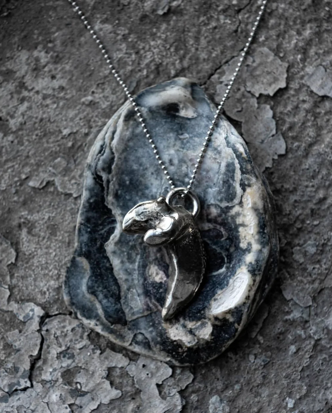 TTANG NYC Showroom Paris - Image 3