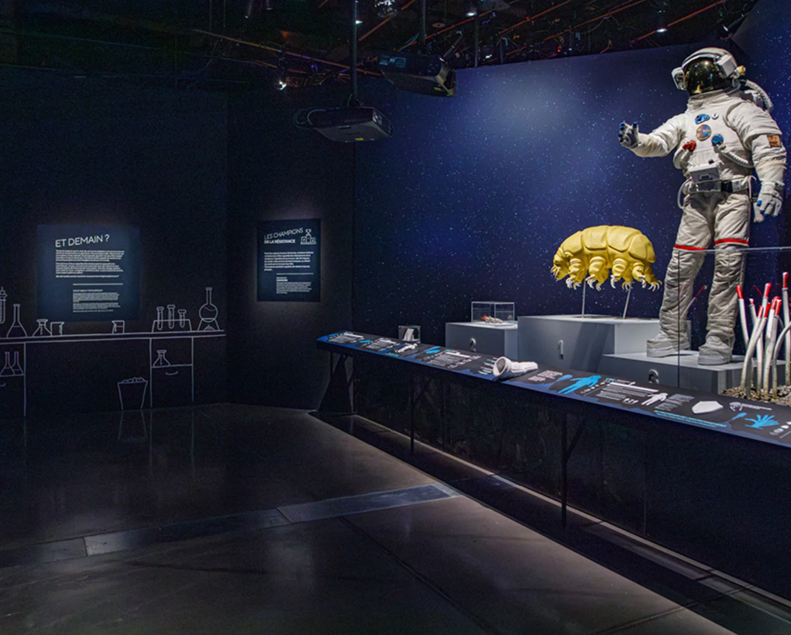 Incredibly Strong! — Extreme Animals Exhibition (Lyon) - Image 3