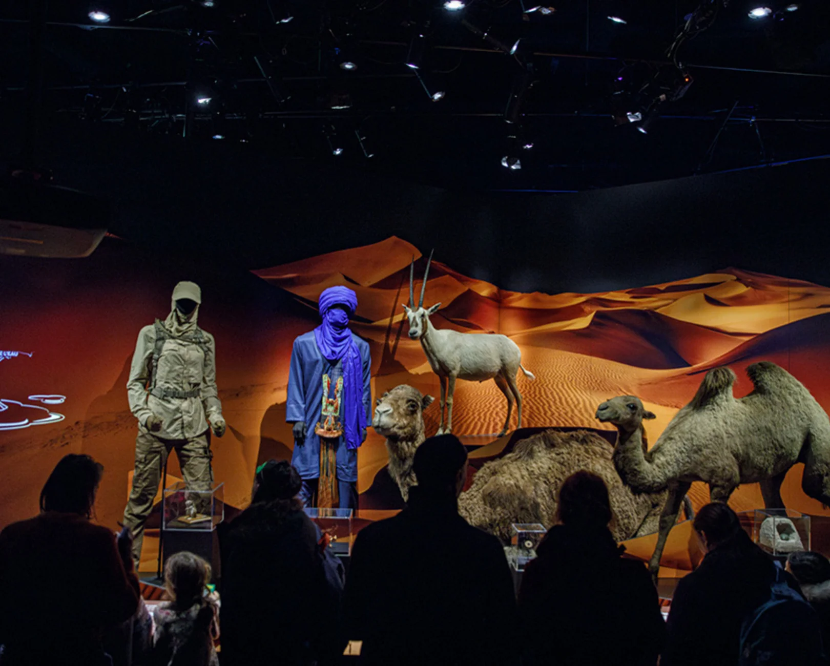 Trop forts ! — expo animaux extrêmes (Lyon)​