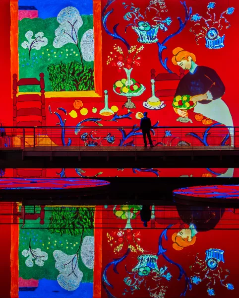 Matisse : La symphonie des couleurs — Bassins des Lumières​