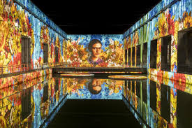Frida Kahlo: Right in the Heart — Bassins des Lumières - Image 3