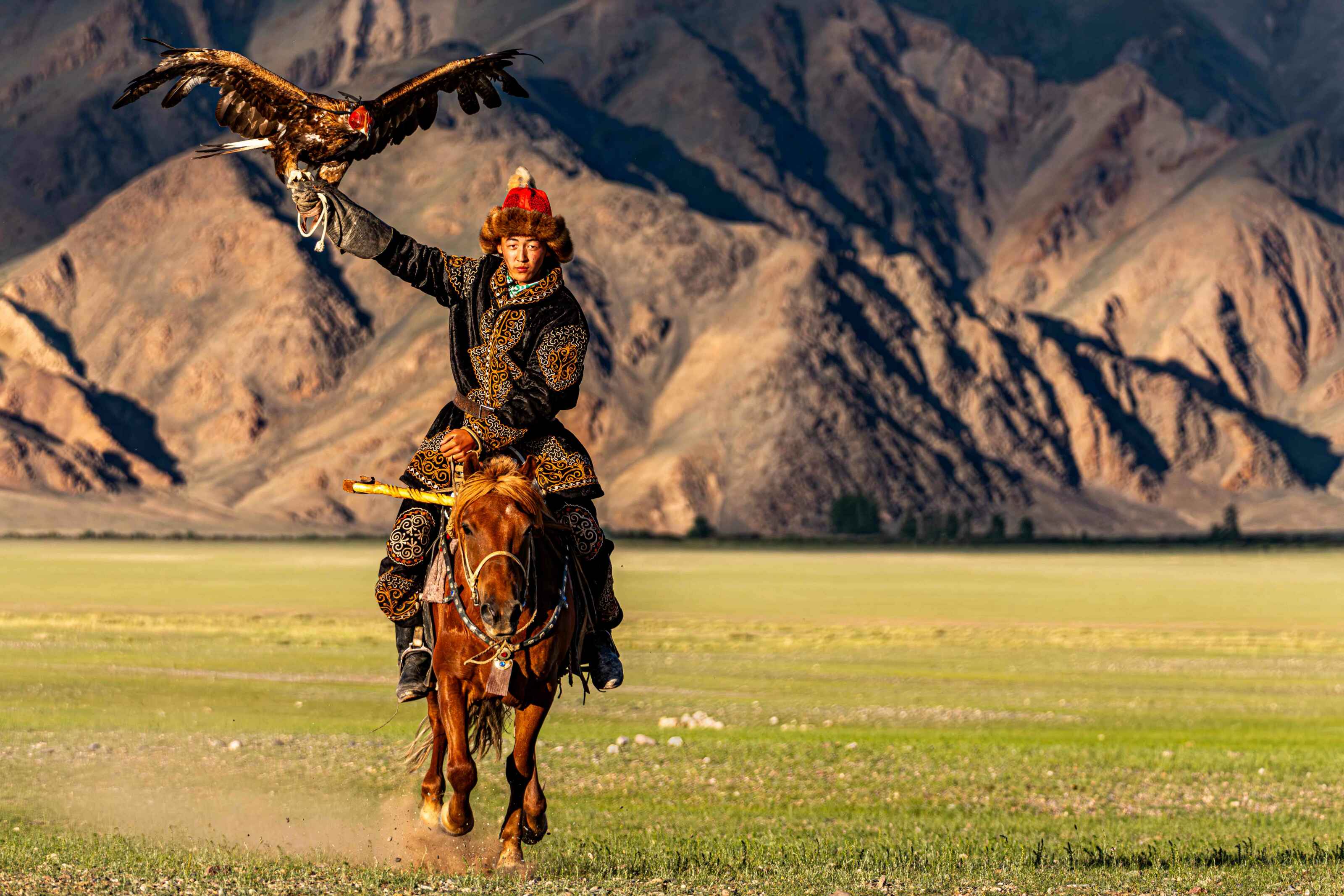 Exposition Fragilités et Résiliences, de Thibault Gerbaldi, au Jardin du Luxembourg