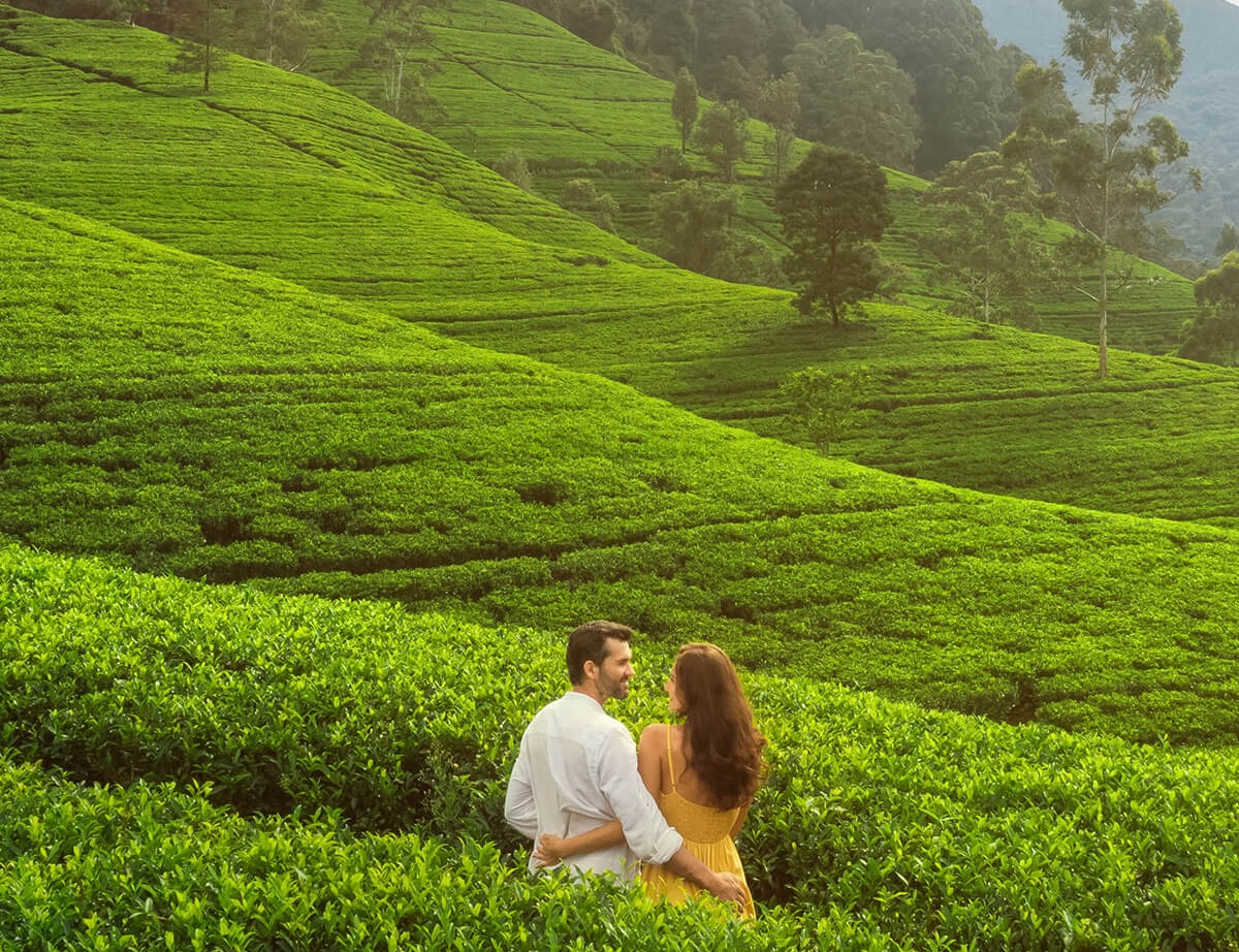 Romantic Sri Lanka Honeymoon Tour | Culture, Wildlife & Sunset Beaches