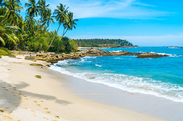 Top Honeymoon Destination Sri Lanka 4