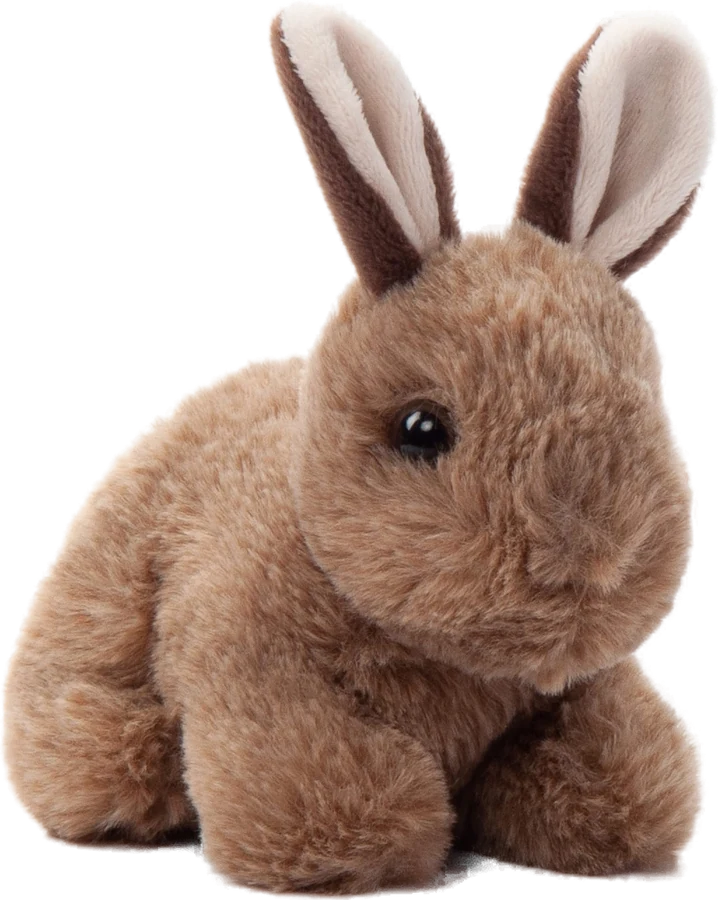 Conejo