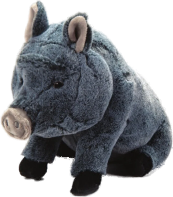 Wild Boar