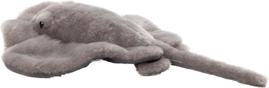 Manta Ray
