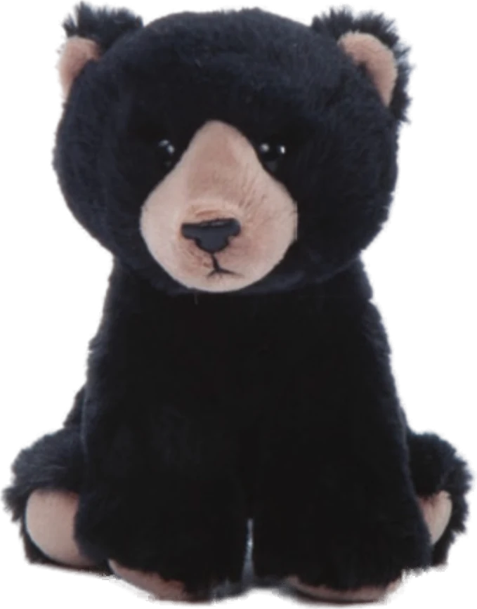 Black Bear