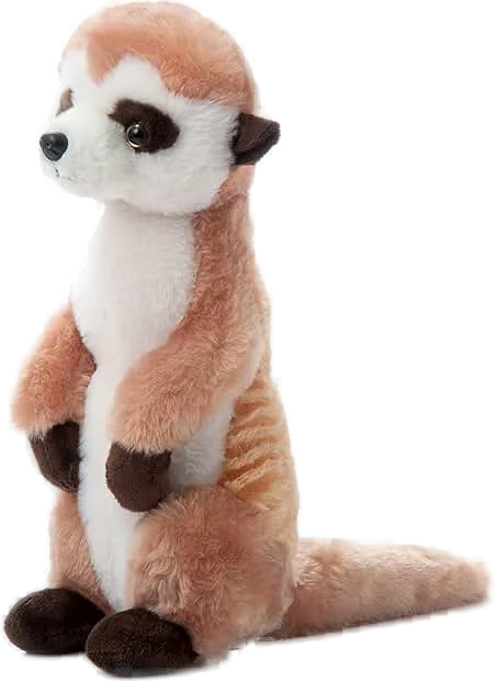 Meerkat