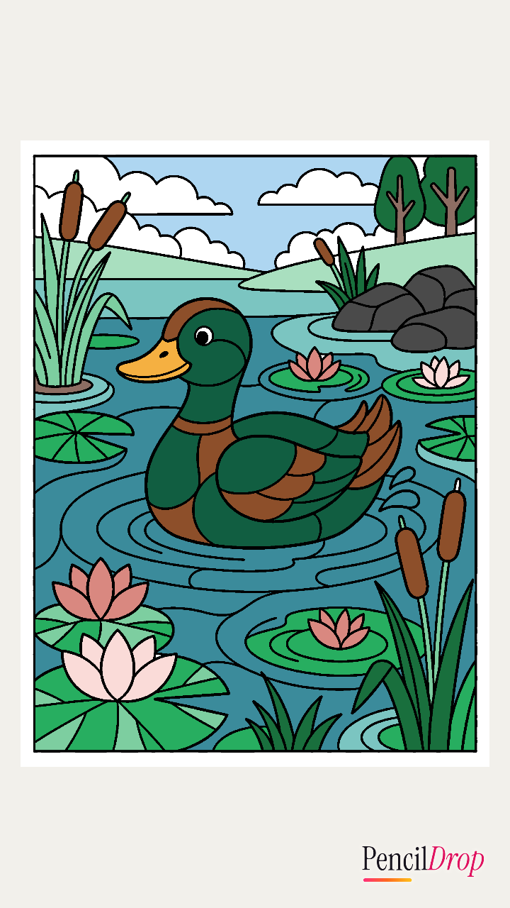 George's A duck pond