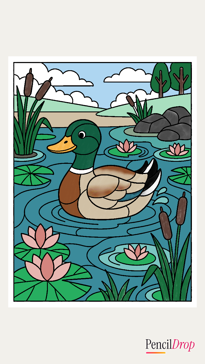 AshR's A duck pond