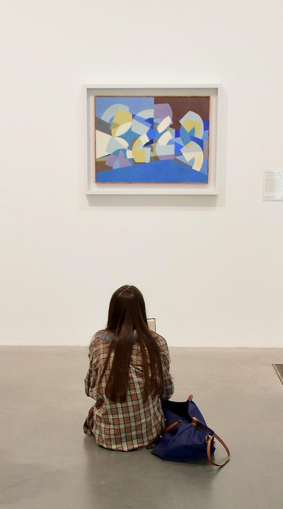 Arte virtualizado