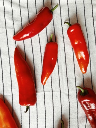 5 Bağırsak Sağlığı Efsanesi ve Gerçekler