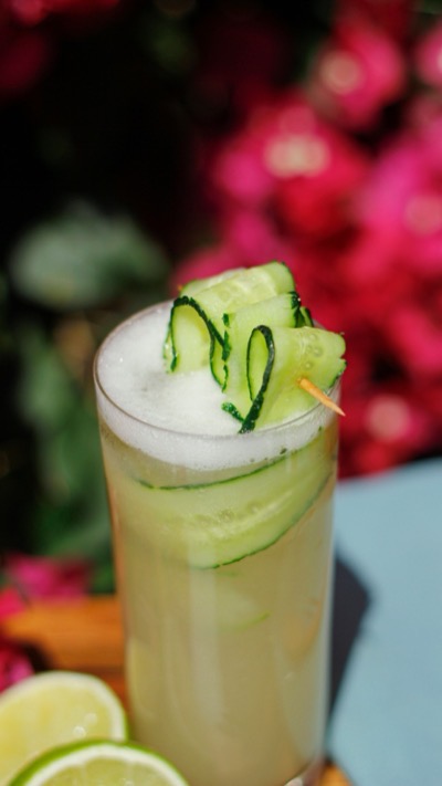 Yaz Ferahlığı Protein Mocktaili