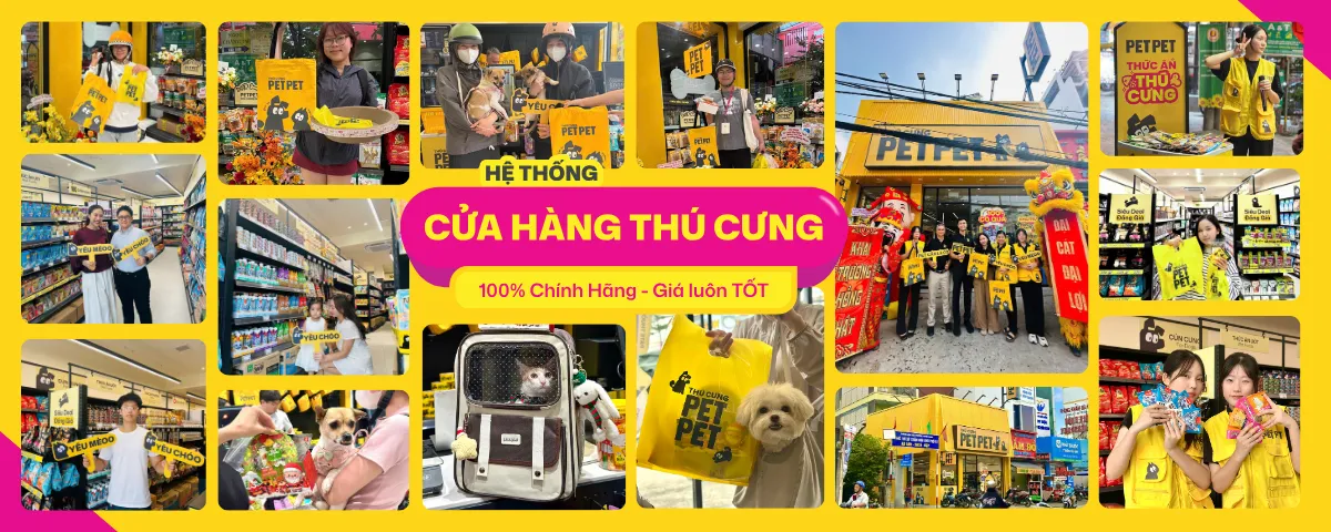 Banner Petpet - Thế giới thú cưng