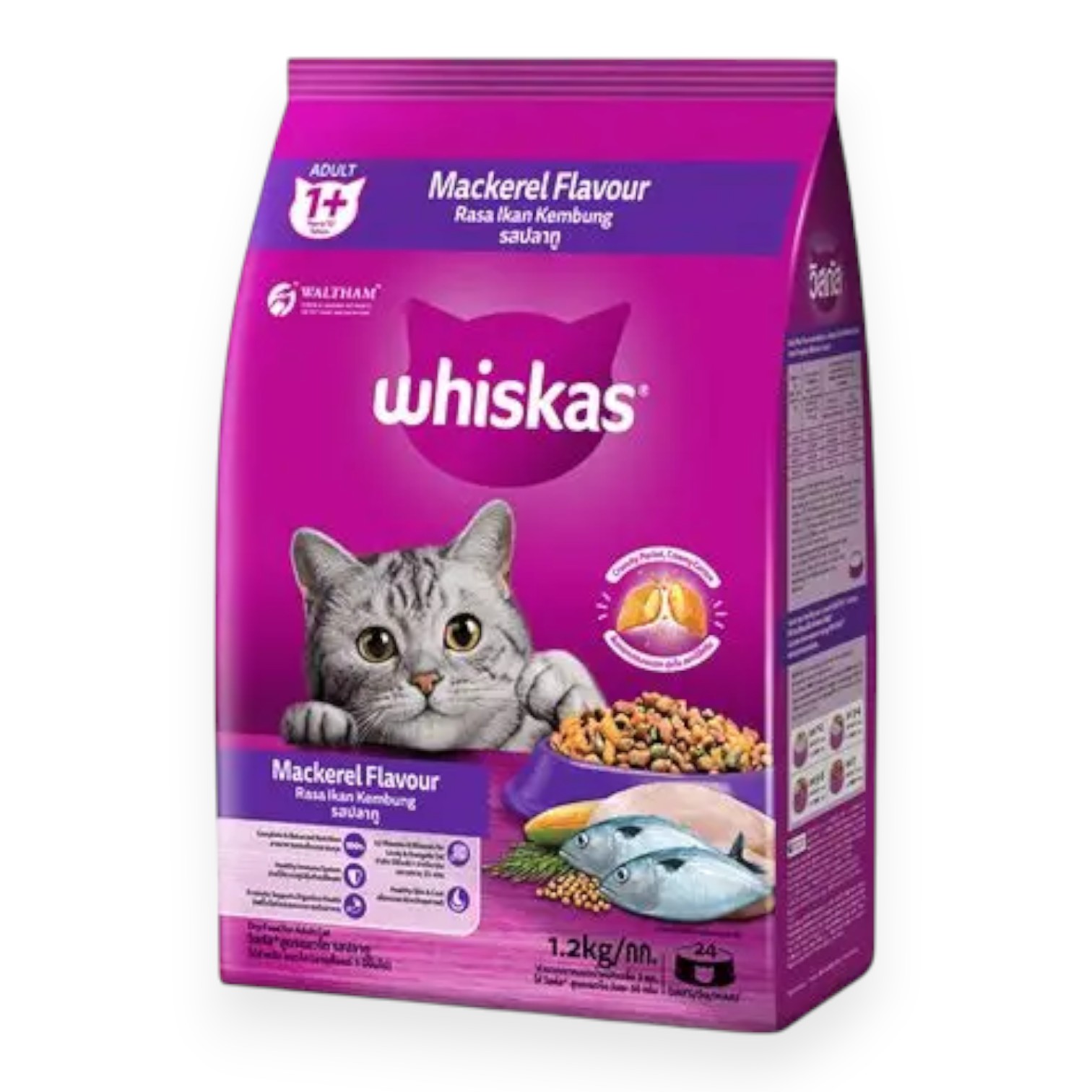 Hạt Whiskas Cho Mèo Con